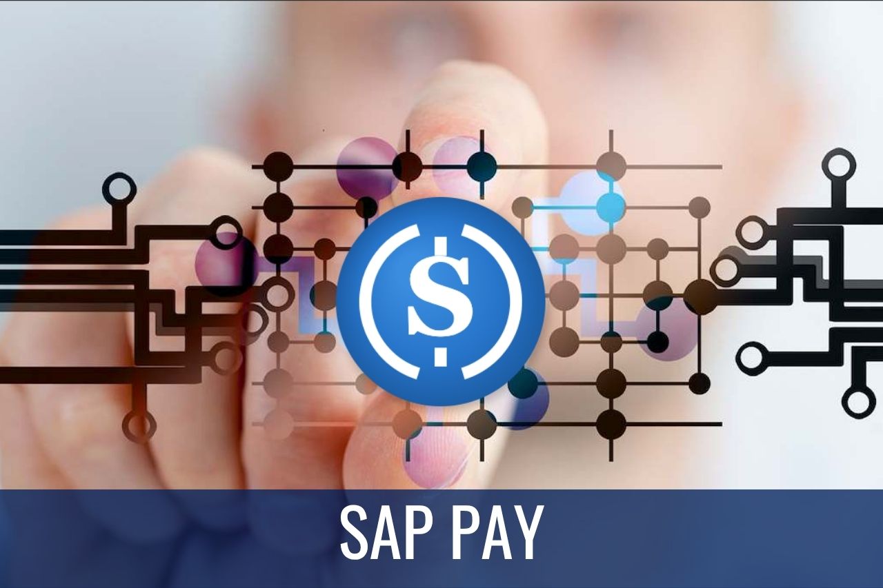 SAP PAY SAP Digital Currency Hub DCH