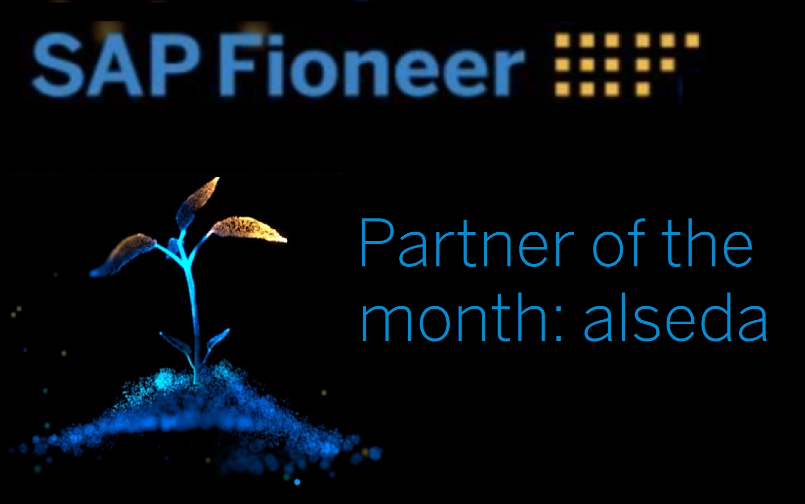 alseda SAP Fioneer partner of the month, alseda ist SAP Fioneer Partner des Monats