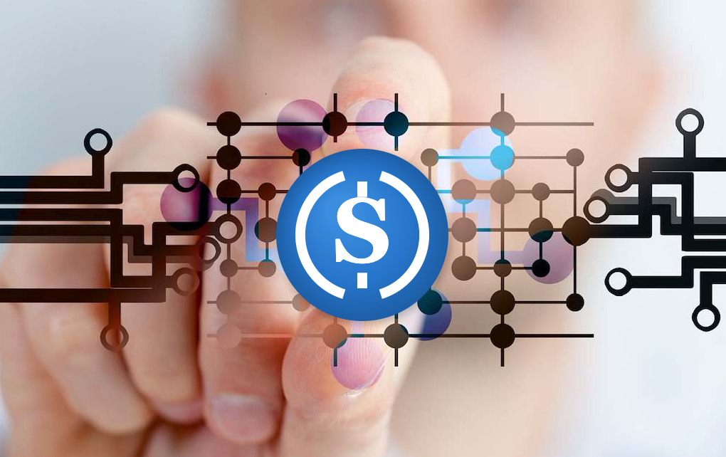 Blockchain SAP PAY